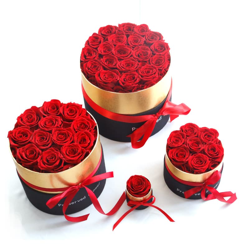 Rosas Eternas Preservadas en Caja - Set Regalo Romántico