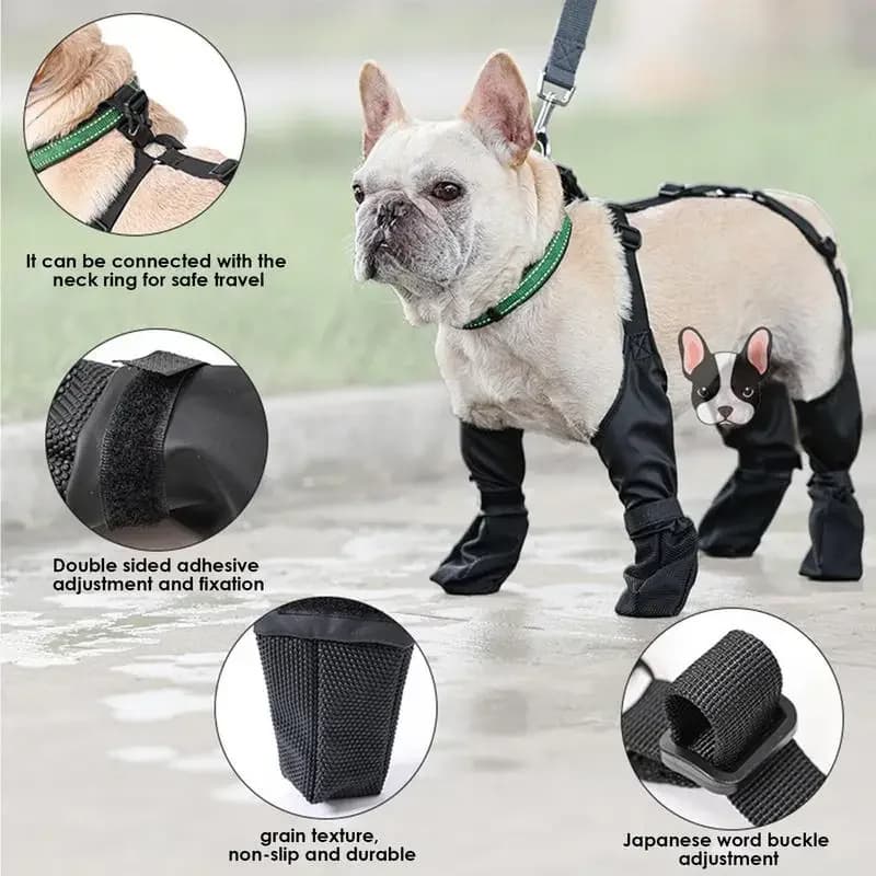 Botas Impermeables Ajustables para Perros