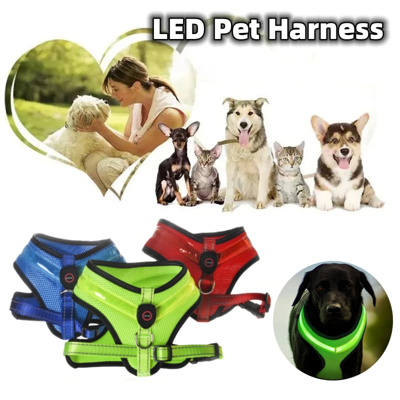 Arnés LED Luminoso para Perros con Carga USB