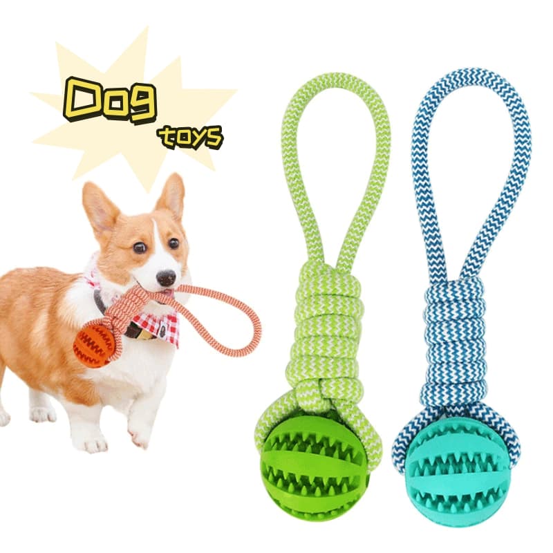 Set de Juguetes Interactivos para Perros - Pelotas y Cuerda
