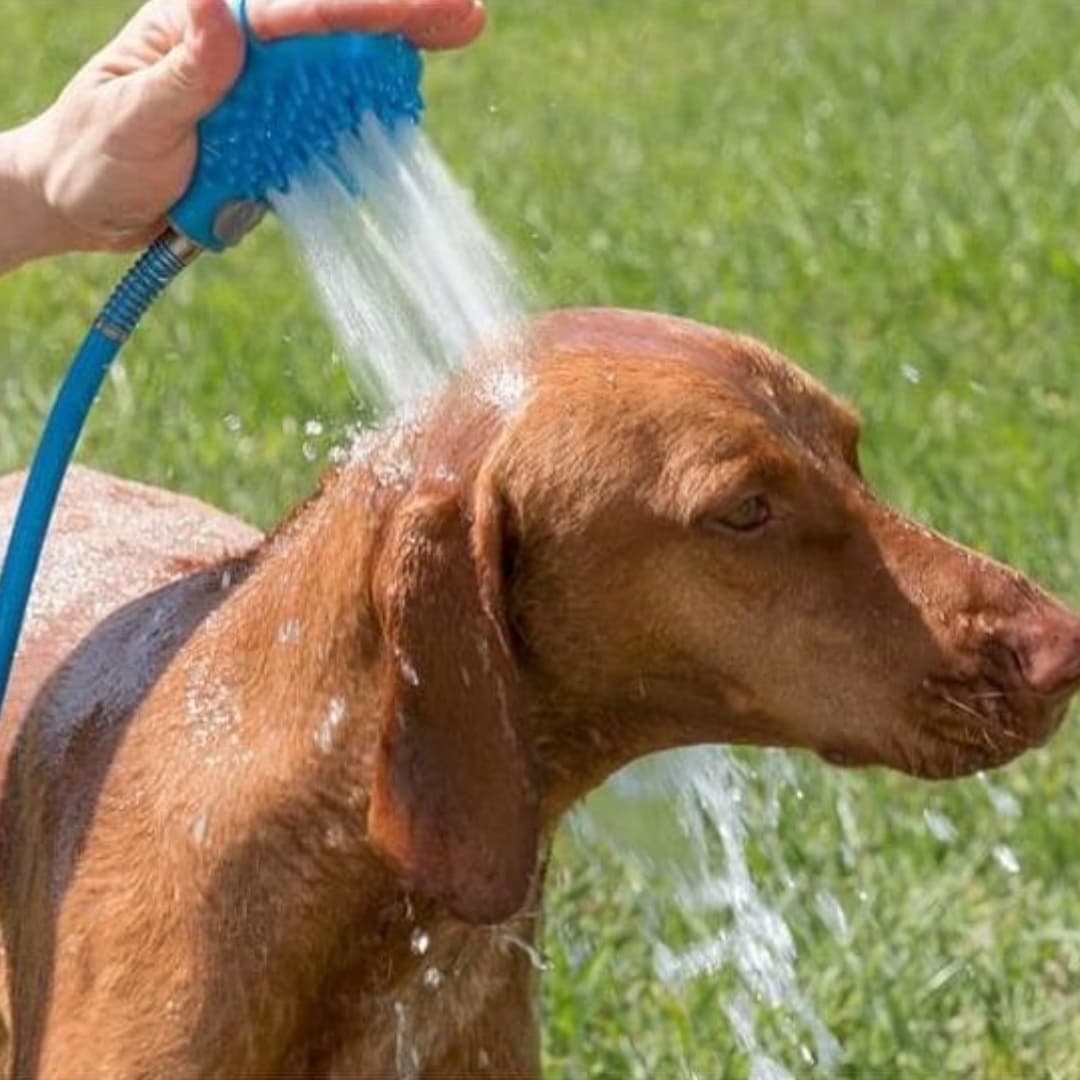 Guantes de Baño para Mascotas con Masaje y Pulverizador
