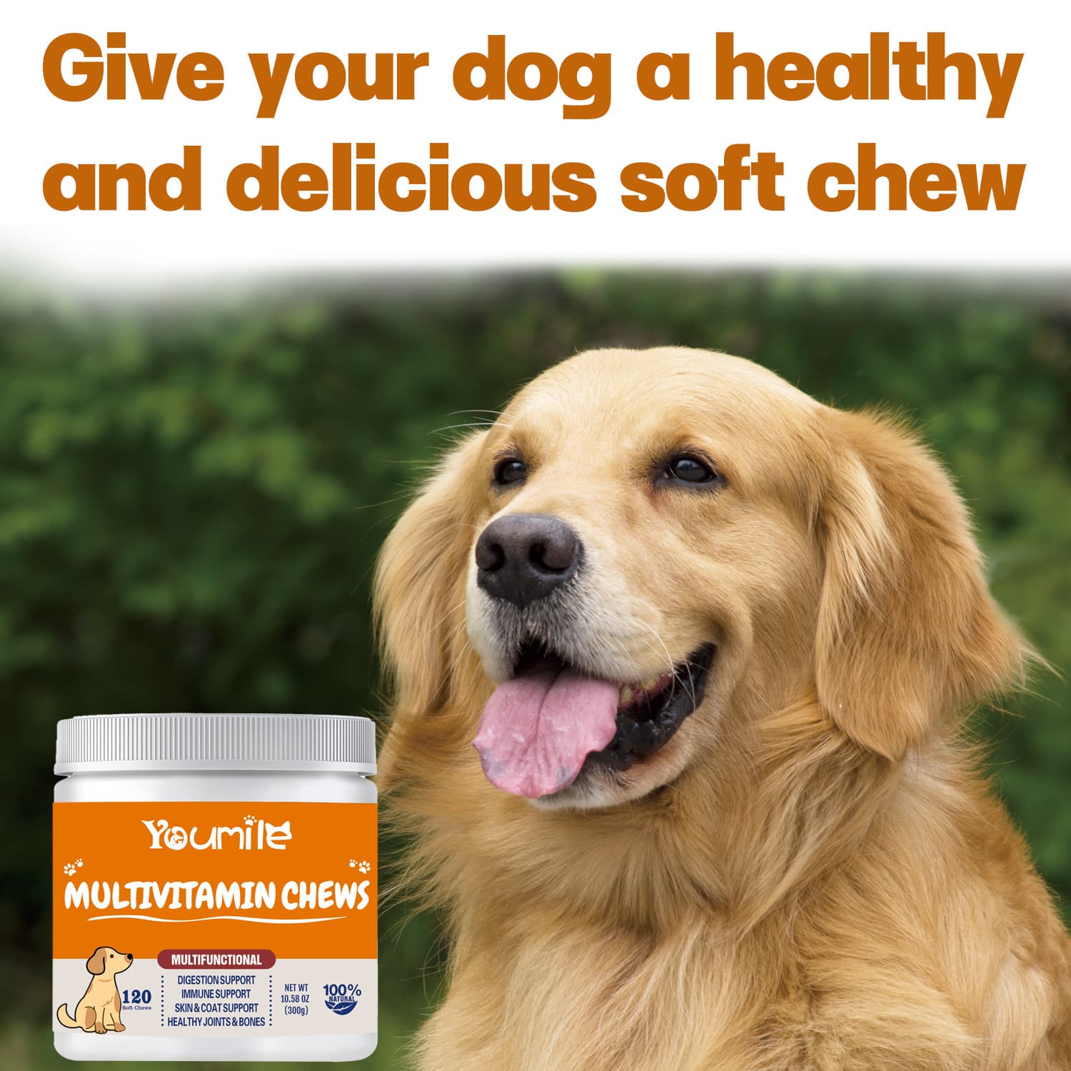 Vitaminas Multifuncionales para Perros