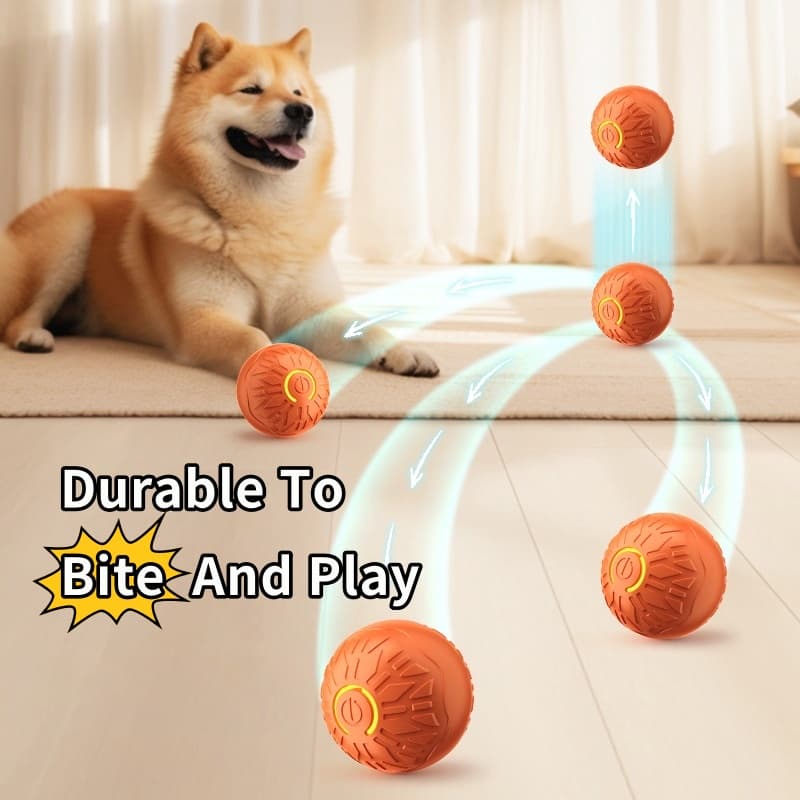 Pelota Saltadora Eléctrica Luminosa para Perros
