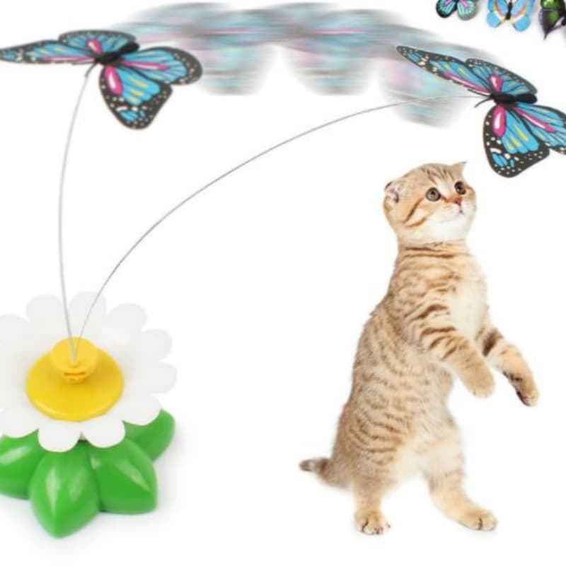 Juguete Giratorio Automático para Gatos