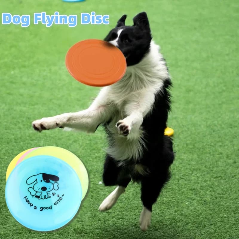 Disco Volador de Silicona para Perros y Gatos