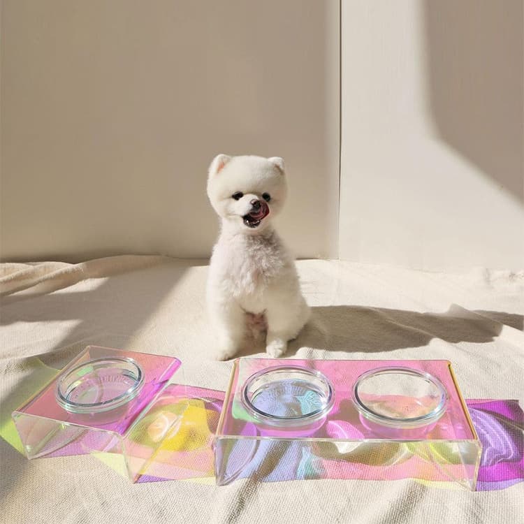 Comedero Acrílico Brillante para Perros Pequeños