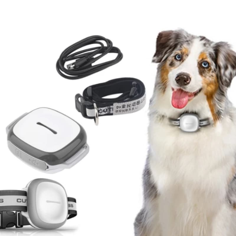 Localizador GPS con collar para gatos y perros