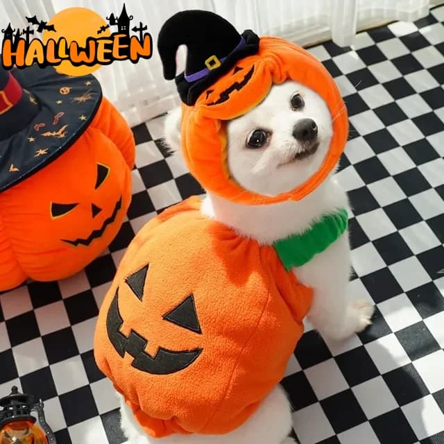 Disfraz de Calabaza Halloween para Perros y Gatos