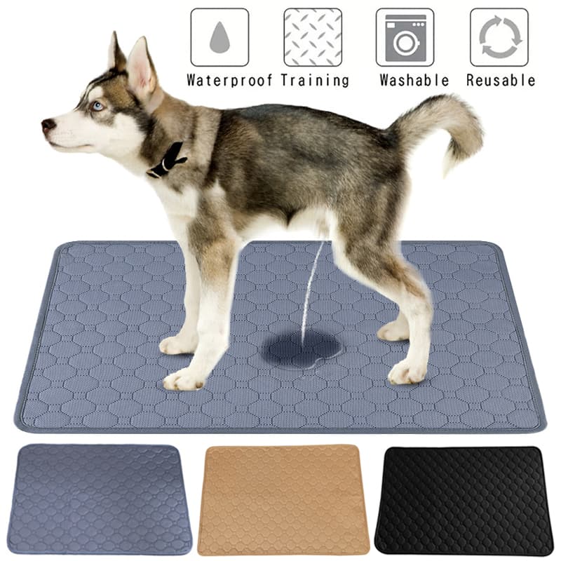 Pañales Lavables para Perros Premium Impermeables